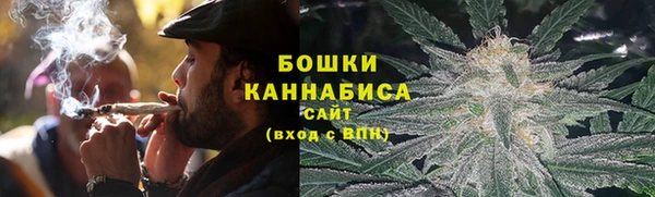 ГАЛЛЮЦИНОГЕННЫЕ ГРИБЫ Алзамай