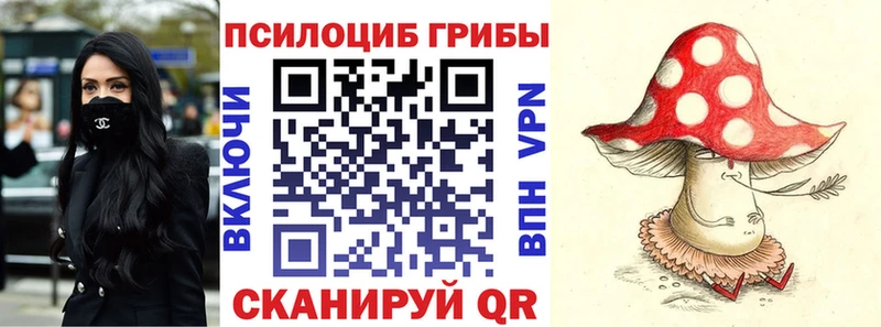 Псилоцибиновые грибы мицелий  Камышин 